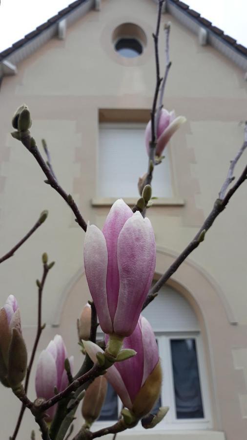 Le Gite Du Magnolia Willerval Kültér fotó